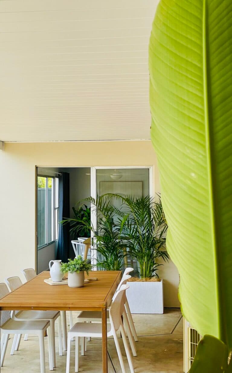 A front garden that lifts the street appeal of an Adelaide home