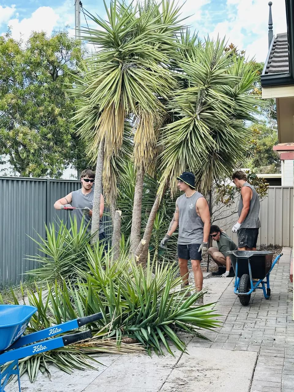 Before: complete yard redesign in Albert Park, Adelaide