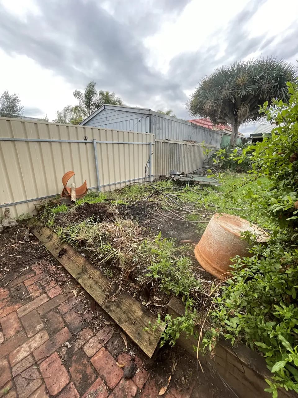 Before: coastal garden refresh in Birkenhead, Adelaide