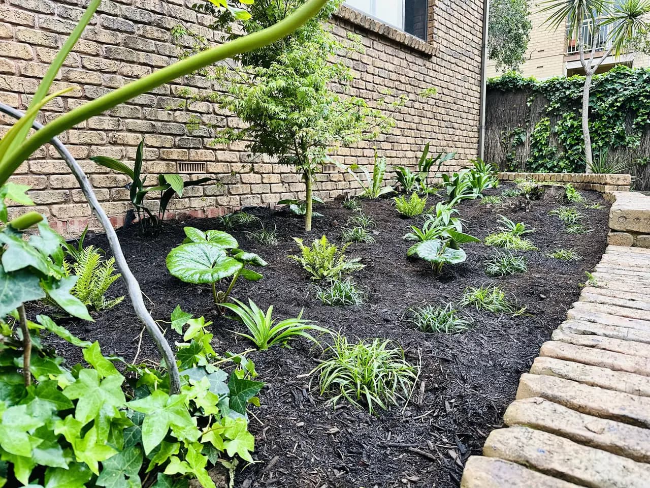 After: garden revitalisation in Burnside, Adelaide