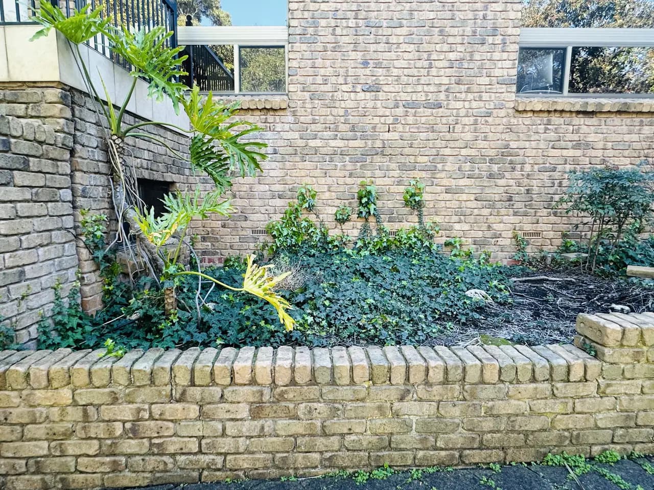 Before: garden revitalisation in Burnside, Adelaide
