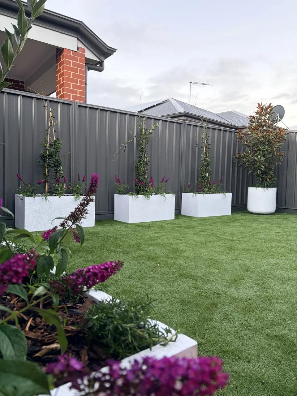 After: rear courtyard revamp in Fulham Gardens, Adelaide