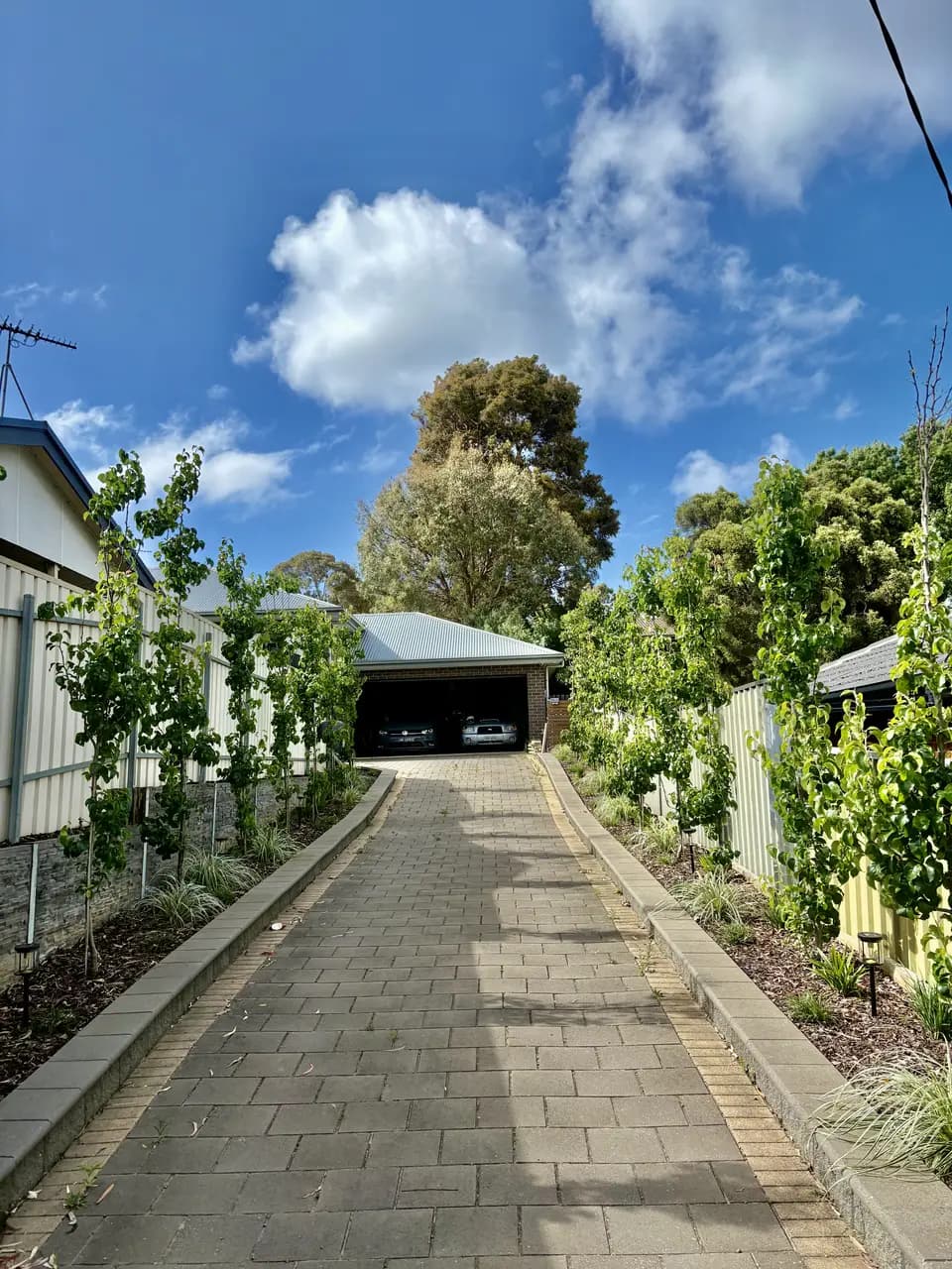 After: full garden redesign in Happy Valley, Adelaide