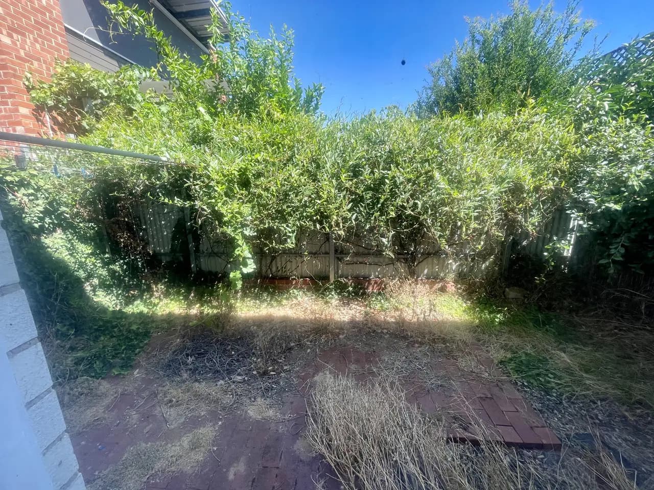 Before: a garden in North Adelaide, Adelaide