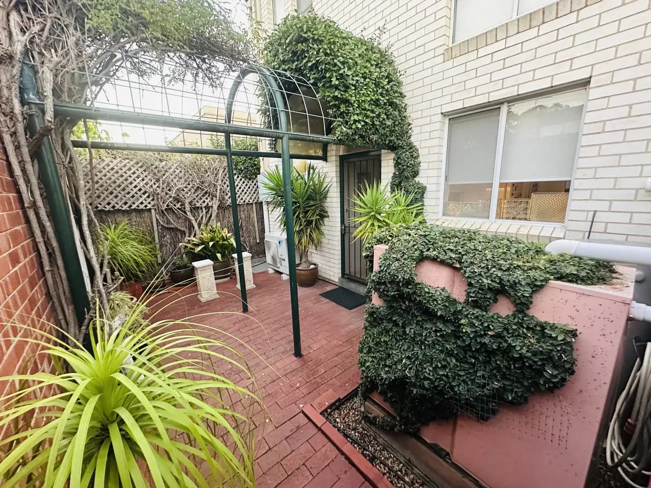 Before: a garden in North Adelaide, Adelaide