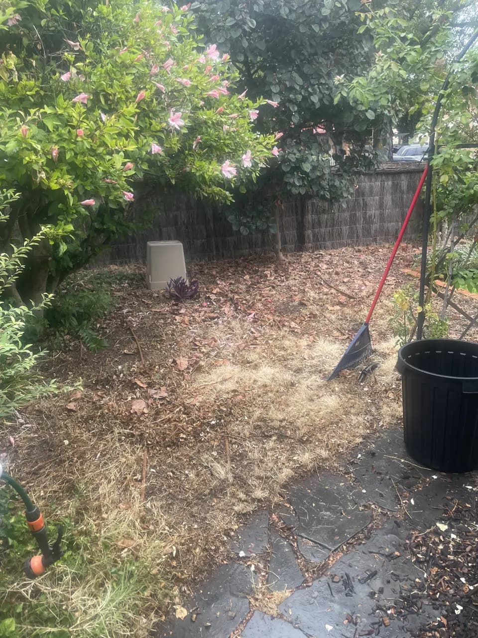 Before: a garden in Prospect, Adelaide