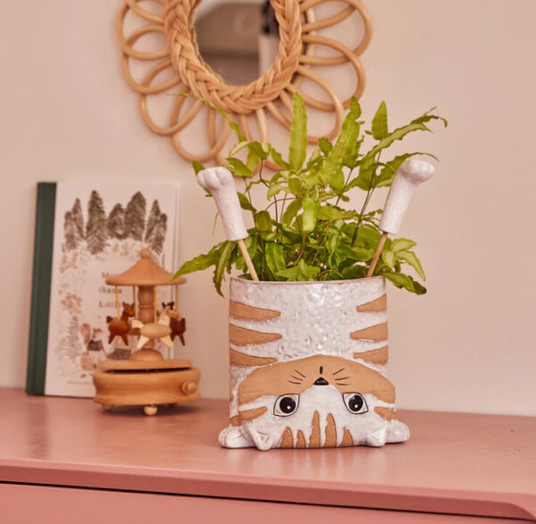 Whiskers Pot