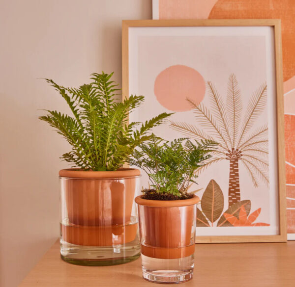 Aqua Terra Pot