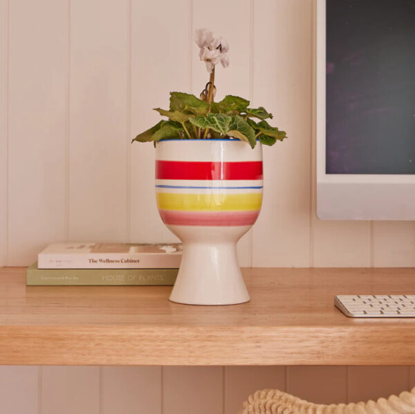 Patootie Pot