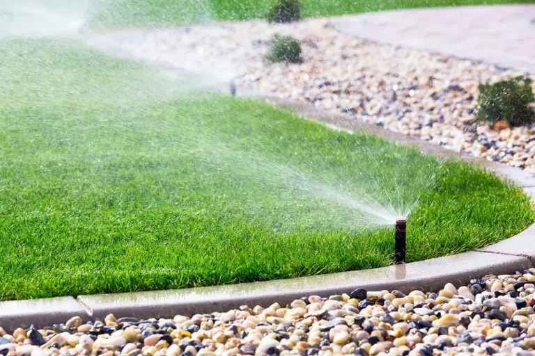 Sprinkler head watering a well-kept green lawn along a curved concrete border with decorative rocks.