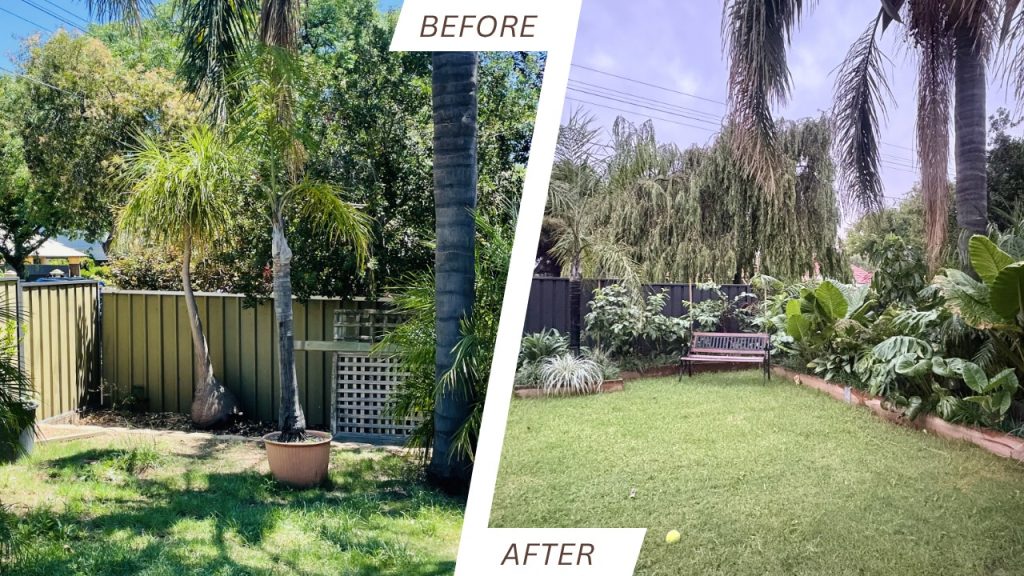 Split-view of a backyard makeover: left shows an overgrown area with palm trees and a fence, right shows a tidy lawn with a bench and lush plants.