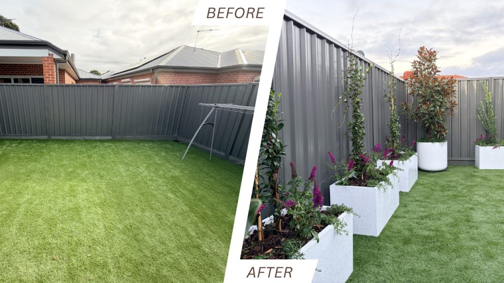 Before-and-after backyard: left shows bare grass and grey fence; right shows raised white planters with tall plants along the fence.